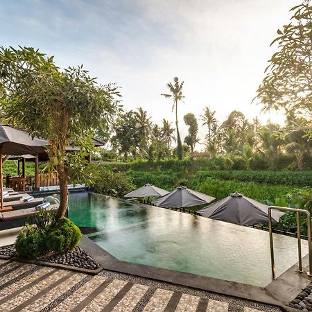 Mayura Ubud Retreat Extérieur photo
